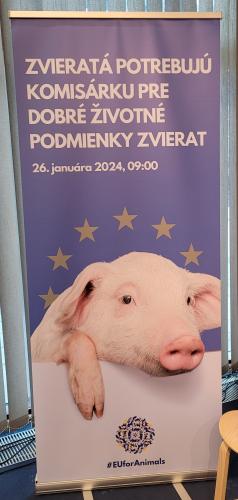 Euforanimals