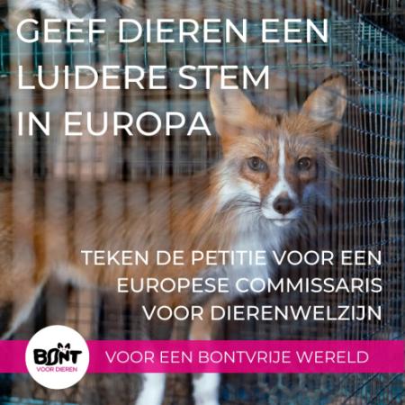 Euforanimals