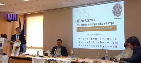 Euforanimals