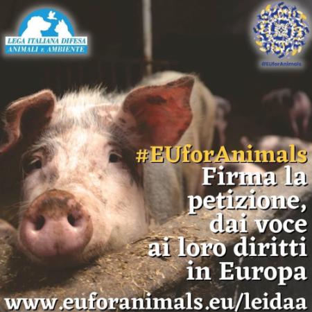 Euforanimals