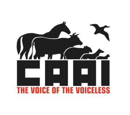 euforanimals