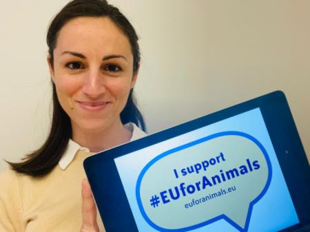 euforanimals