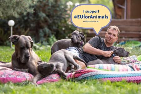 euforanimals