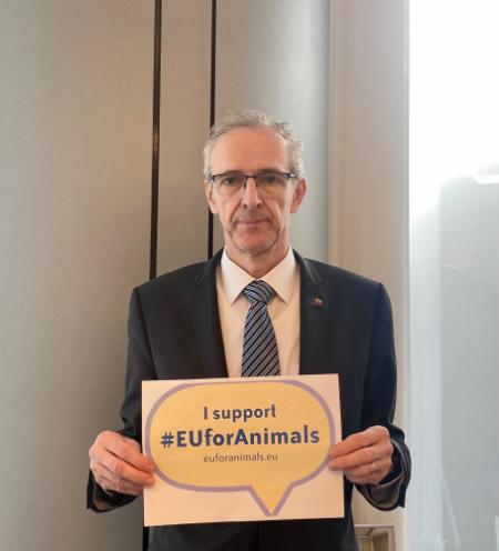 euforanimals
