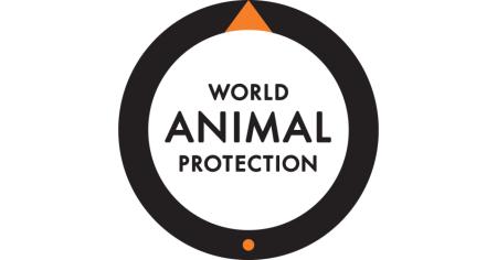 euforanimals